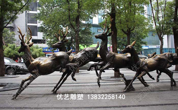 菠菜交流社区论坛网页